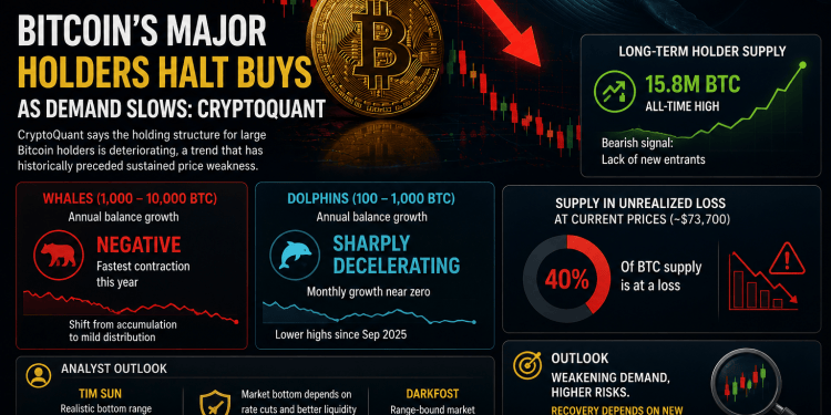 Bitcoin Whales Pause Accumulation as Market Demand Continues to Weaken